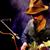 Benny Guitar Carr profile photo