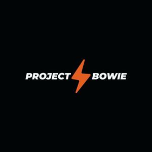 Project Bowie profile photo