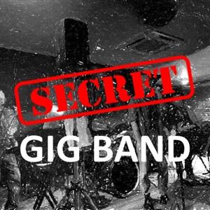 Secret Gig Band profile photo
