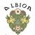 The Albion profile photo