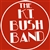 KT Bush Band profile photo