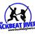 The Backbeat Jivers profile photo