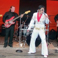 Steve del Rio and the Deltas profile picture