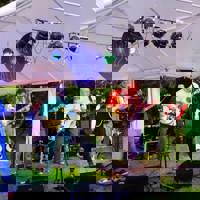 Paparazzi profile picture