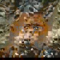 Unknown profile picture