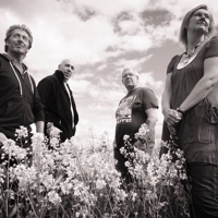 The PommyGranites profile picture