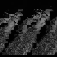 Kit Curtis and the B3s profile picture