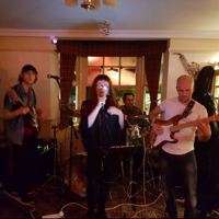 Spring Loaded profile picture