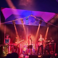 The Dead Pelicans profile picture