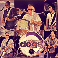 Repertoire Dogs profile picture