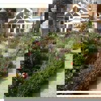 Unknown profile picture