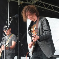 Nylon Tigers profile picture