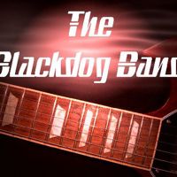 The Blackdog Band  profile picture