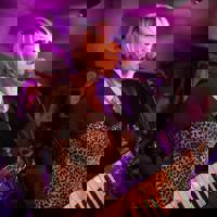 The Diamondhearts - 80s Tribute Band