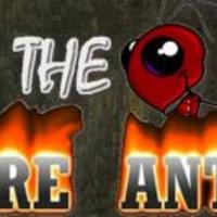 The Fire Antz