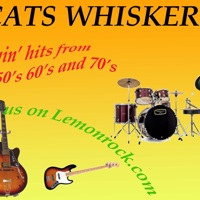 Cats Whiskers profile picture