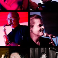 Sneaking Sally profile picture