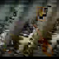 Bad Monkey Driver profile picture