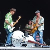 Damo And The Dynamites profile picture