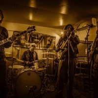 W3Detour profile picture