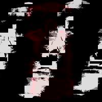 The Rockface Band profile picture