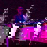 Elton Towers profile picture