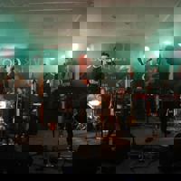 Dave Migden and the Dirty Words profile picture