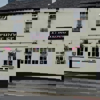 The Rose profile picture