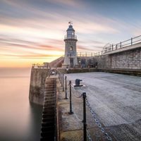 Folkestone Harbour Festival profile picture