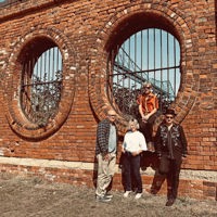 Claire Hamill Band profile picture
