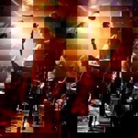 Duvet Dogs profile picture