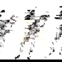 Blues and Roots in the City profile picture