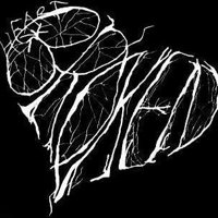 Broken profile picture