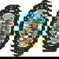 Carisoul Vibes profile picture