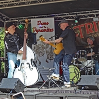 Damo And The Dynamites